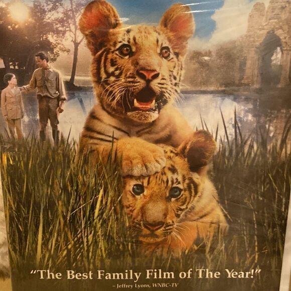 DVD Two Brothers The Best Family Film of the Year PG Widescreen 🍿3/$15 - Picture 5 of 12